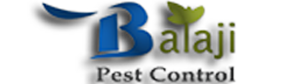 Best Pest Control services In Ahmedabad - Balaji Pest